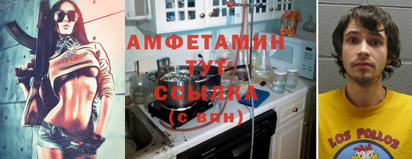 сатива Балабаново